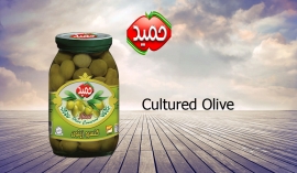 Cultured Olive